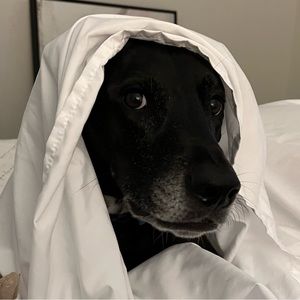 Meet your Posher, Jordan